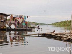 Mesuji, 17 Tahun Kami Menderita