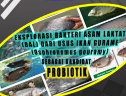 Probiotik Sehat Peningkat Kualitas Produksi Ikan Gurame