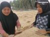 Vlog Pesisir Barat : Warga yang Ramah, Fenomena Ombak Biru, dan Putihnya Pasir di Pulau Pisang