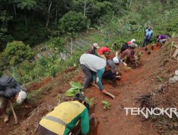 Sudah Waktunya Mahasiswa KKN Berhenti Membuat Program Seremonial di Desa