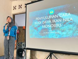 Mahasiswa KKN Unila Adakan Penyuluhan Budidaya Ikan Nila Monoseks