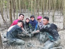 Komunitas Jejama Tanam 1000 Mangrove di Lampung Timur