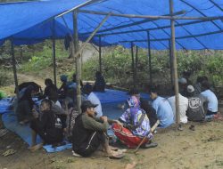 Transformasi Petani Hutan: Gapoktan Sumber Makmur Jadi Contoh Pemberdayaan Berkelanjutan