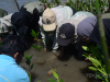 Galeri Foto Teknokra : Penanaman Mangrove Upaya Jaga Ekosistem Pesisir