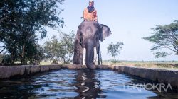 Galeri Foto Teknokra : Taman Nasional Way Kambas