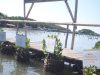 Kritik Program Mangrove : Bukan Sekadar Tanam, Tapi Rawat