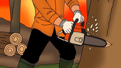 Opini : Krisis Lingkungan di Lampung Kian Buruk dan Ancam Masa Depan