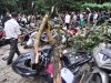 Pohon Tumbang Timpa Motor di Parkiran Beringin