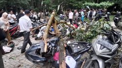 Pohon Tumbang Timpa Motor di Parkiran Beringin