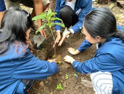 Mahasiswa Hubungan Internasional Unila Optimalkan Pembibitan Buah Bersama KTH SHK Lestari