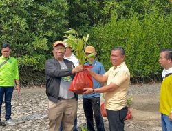 Wujudkan Komitmen ESG dan Keberlanjutan, PT Nestle Indonesia Pabrik Panjang Adakan Penanaman Mangrove