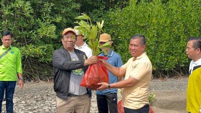 Wujudkan Komitmen ESG dan Keberlanjutan, PT Nestle Indonesia Pabrik Panjang Adakan Penanaman Mangrove