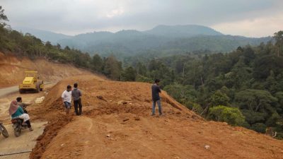 Proyek Panas Bumi Suoh-Sekincau Disorot: CELIOS Desak Investigasi Independen
